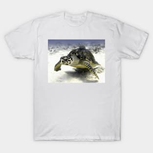 Caribbean Sea Turtle T-Shirt